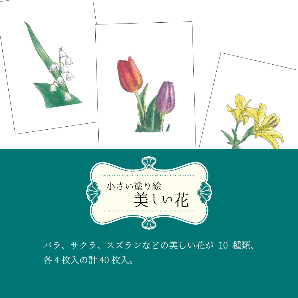 大人の塗り絵　10種　ぬりちゃんねる　–　小さい塗り絵　美しい花　40枚入　KOWA-ONLINE-STORE